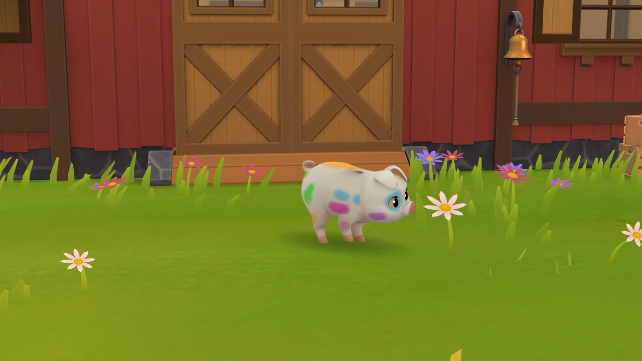 A spotted piglet stands in the farm pen.