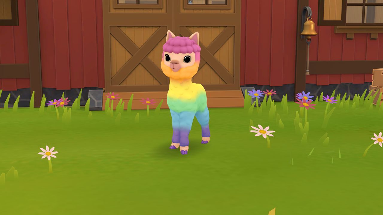 A rainbow-colored baby alpaca stands in the pasture.