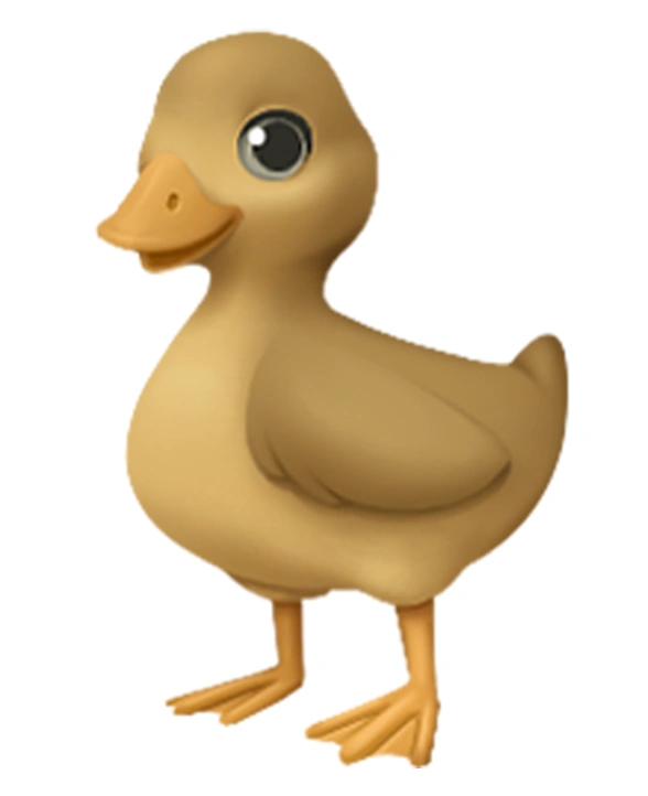 Duck icon