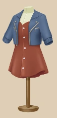 Cinnamon Jacket and Dress outfit on a mannequin