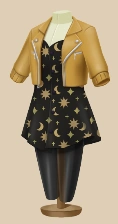 Gold Star Jacket and Dress outfit on a mannequin