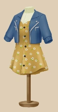 Honey Jacket and Dress outfit on a mannequin