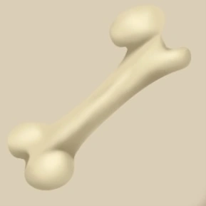 Bone icon