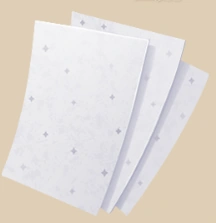 Vellum icon
