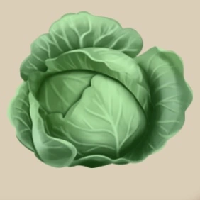 Cabbage item icon