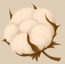 Cotton item icon