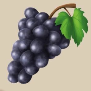 Grapes item icon