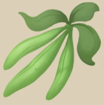 Green Bean item icon