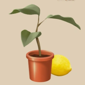Lemon Tree Seedling item icon
