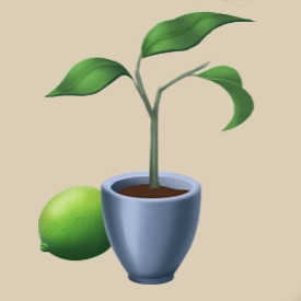 Lime Tree Seedling item icon