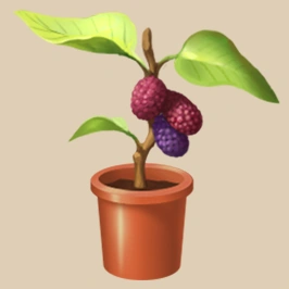 Mulberry Tree Seedling item icon