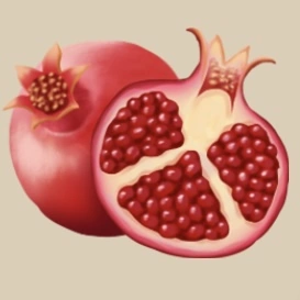 Pomegranate item icon