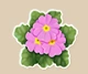 Primrose item icon