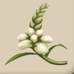 Turtlehead Flower item icon