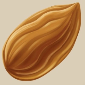 Almond icon