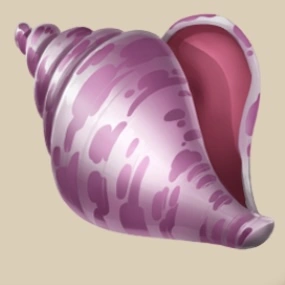 Conch Shell icon