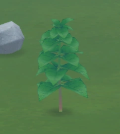 Mint icon