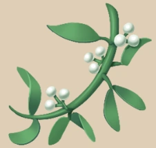 Mistletoe icon