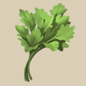 Parsley icon