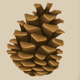 Pinecone icon