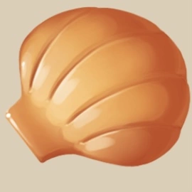 Seashell icon