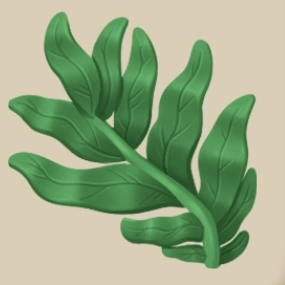 Seaweed icon