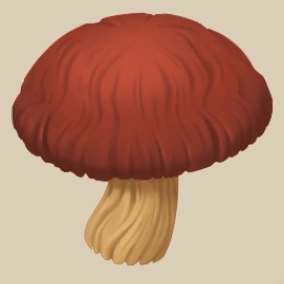 Shiitake Mushroom icon