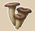 Trompette de la Mort icon