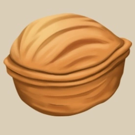 Walnut icon