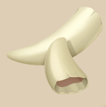 Baby Baku Teeth side quest artwork